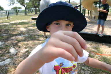 2006-06-03-DougBrown-land-16-park-Dax.JPG