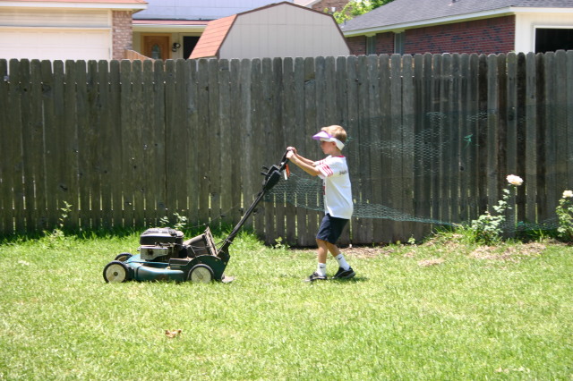 2006/06(June)/Misc/640x480_2006-06-10-Chance-Mowing-2.JPG