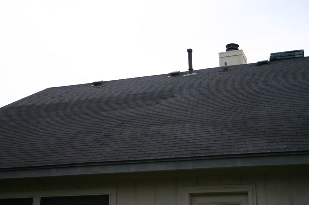 2006/07(July)/New-Roof/1024x768_2006-07-21-roof-06-before.JPG