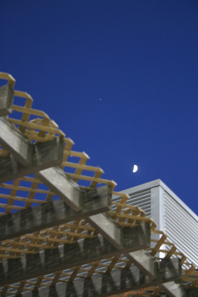 2006-08-02-Scout-campout-Dell-Diamond-31-moon.JPG