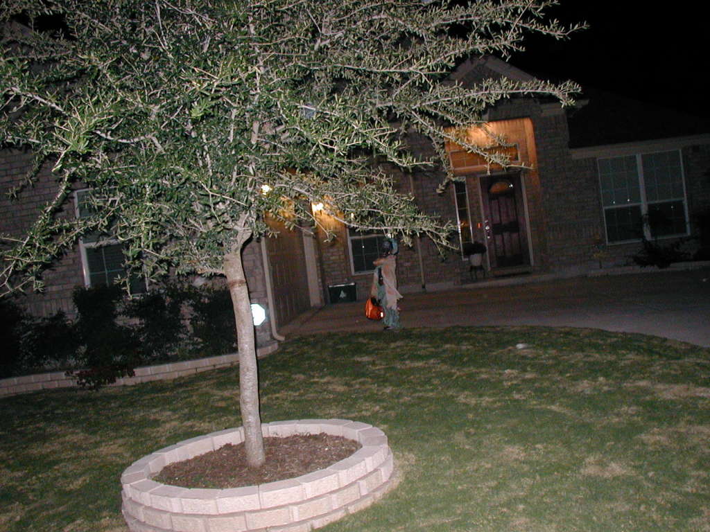 2006/10(October)/Halloween/1024x768_2006-10-31-Halloween-11-Dax.JPG