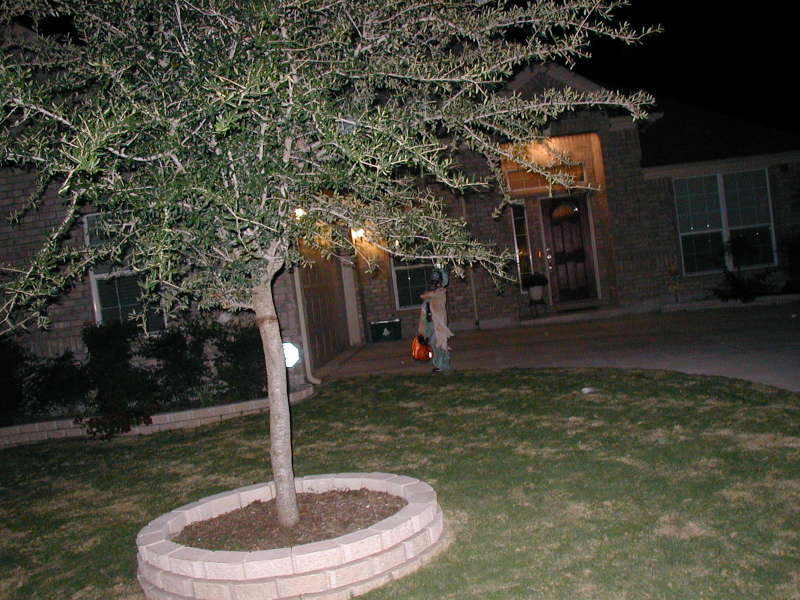 2006/10(October)/Halloween/800x600_2006-10-31-Halloween-11-Dax.JPG