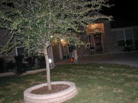 2006-10-31-Halloween-11-Dax.JPG