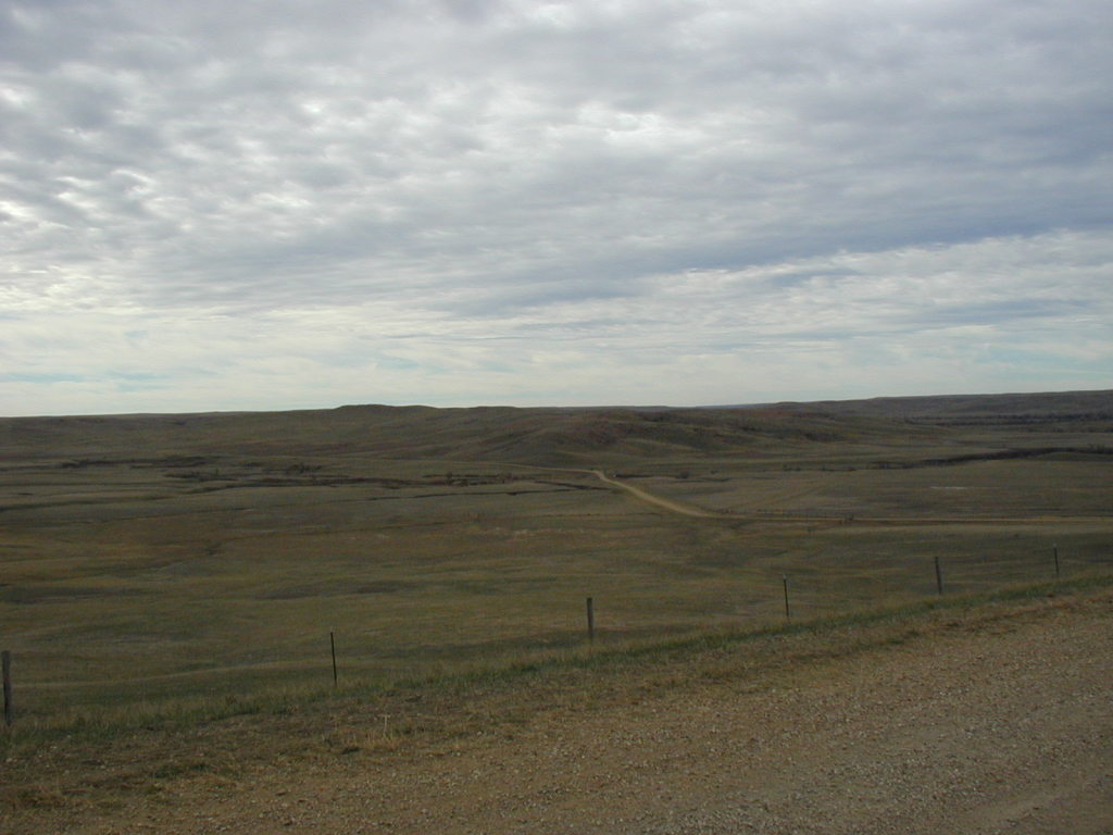 2006-11-07-SD-Hunting-Pierre-03.JPG