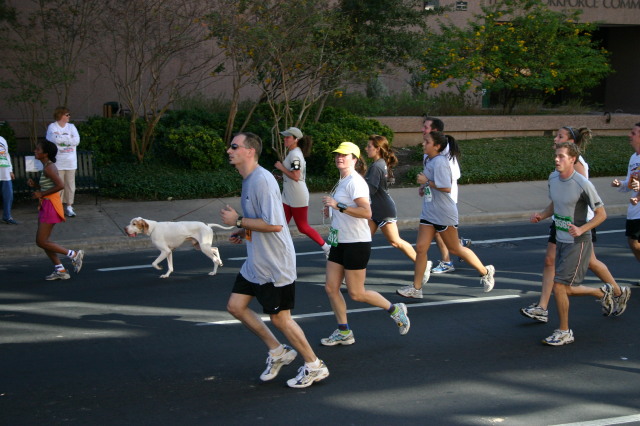 2006/11(November)/TurkeyTrot/640x480_2006-11-23-TurkeyTrot-42-Suzi.JPG