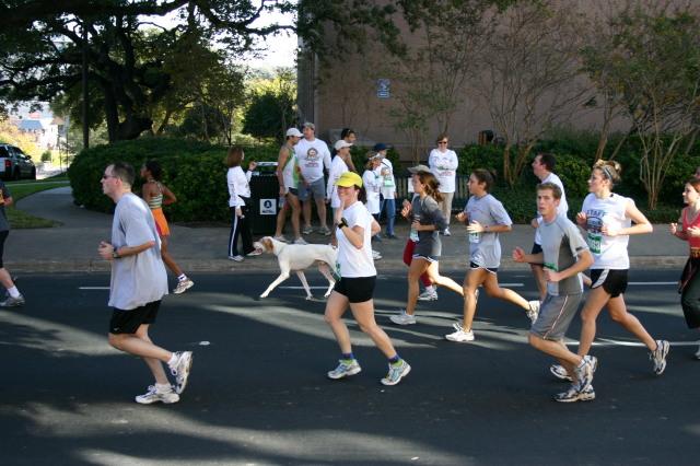 2006/11(November)/TurkeyTrot/640x480_2006-11-23-TurkeyTrot-43-Suzi.JPG
