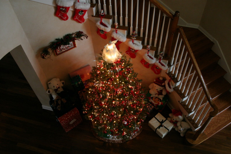 2006/12(December)/Christmas-Eve/800x600_2006-12-24-Christmas-Eve-03-Tree.JPG