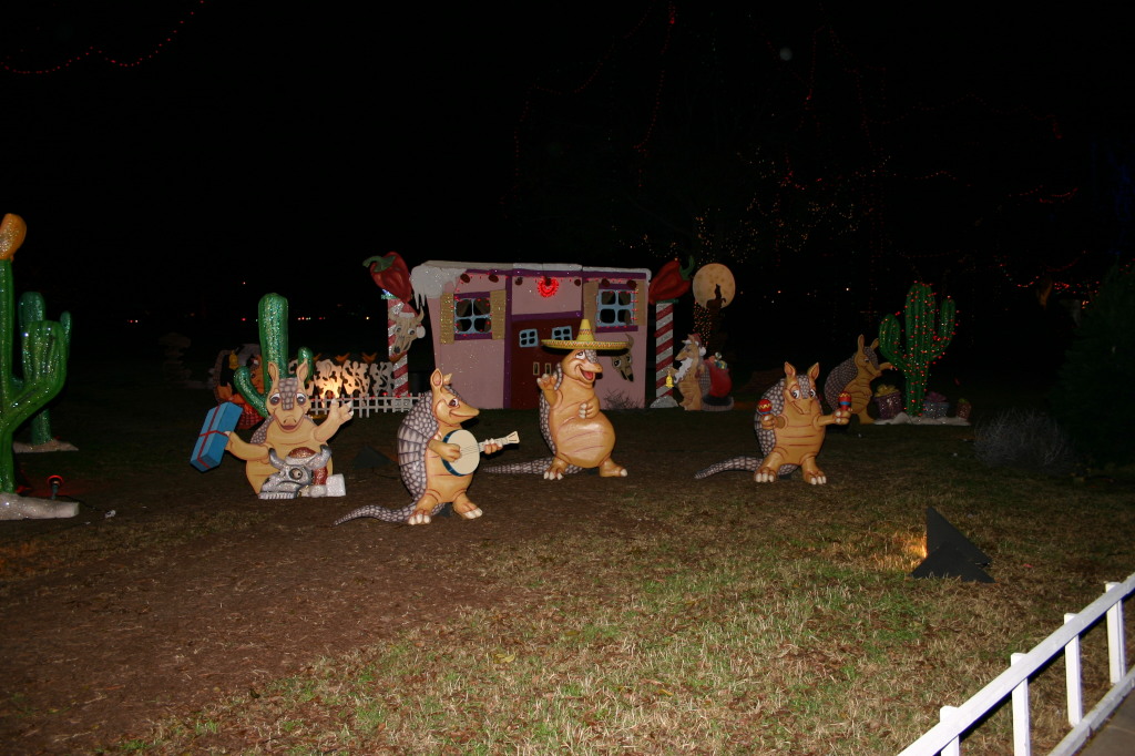 2006-12-12-Trail-of-Lights-Cubscouts-21.JPG