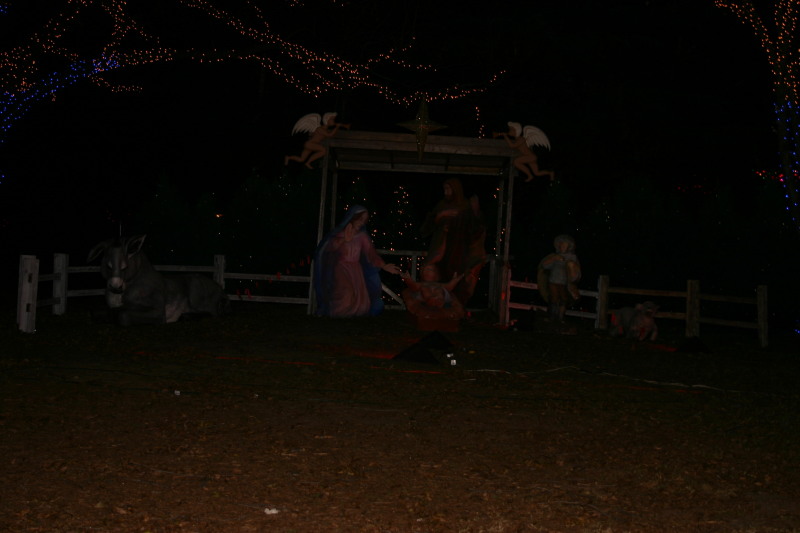 2006/12(December)/Trail-of-Lights-cubscouts/800x600_2006-12-12-Trail-of-Lights-Cubscouts-16.JPG