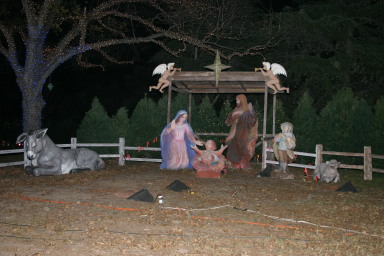 2006-12-12-Trail-of-Lights-Cubscouts-19.JPG