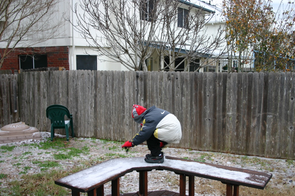 2007/01(January)/Austin-Ice-Storm/1024x768_2007-01-15-Ice-Storm-Austin-3-Chance.JPG