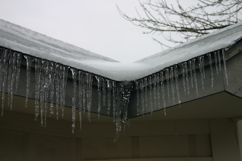 2007/01(January)/Austin-Ice-Storm/1024x768_2007-01-18-Ice-Storm-Austin-10.JPG