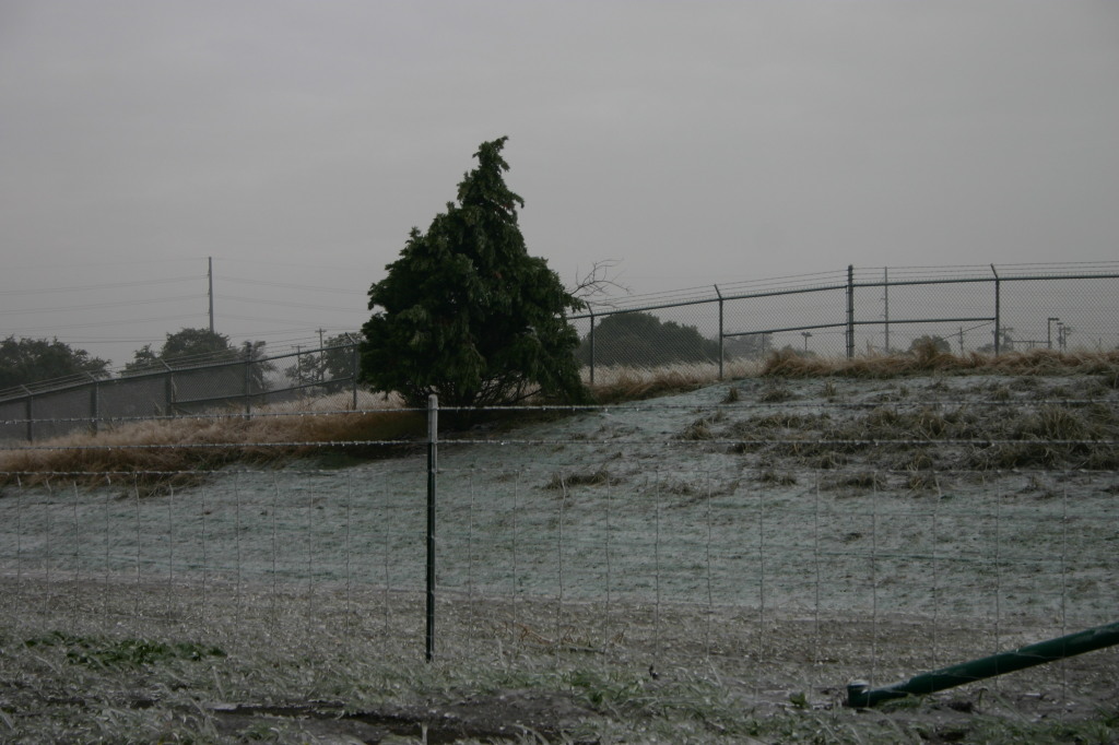 2007/01(January)/Austin-Ice-Storm/1024x768_2007-01-18-Ice-Storm-Austin-14.JPG