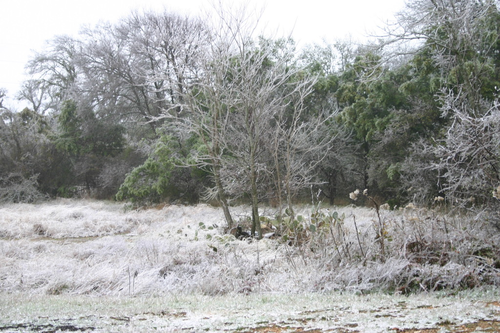 2007/01(January)/Austin-Ice-Storm/1024x768_2007-01-18-Ice-Storm-Austin-15.JPG