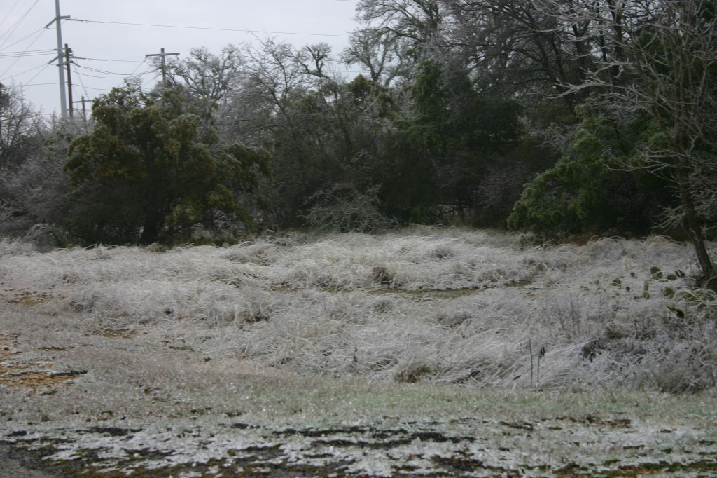 2007-01-18-Ice-Storm-Austin-16.JPG
