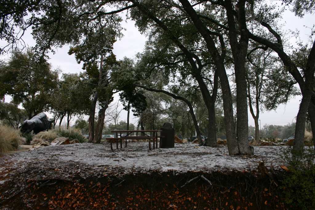 2007-01-18-Ice-Storm-Austin-35.JPG
