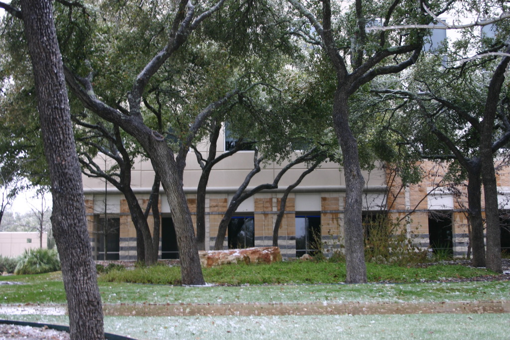 2007-01-18-Ice-Storm-Austin-40.JPG
