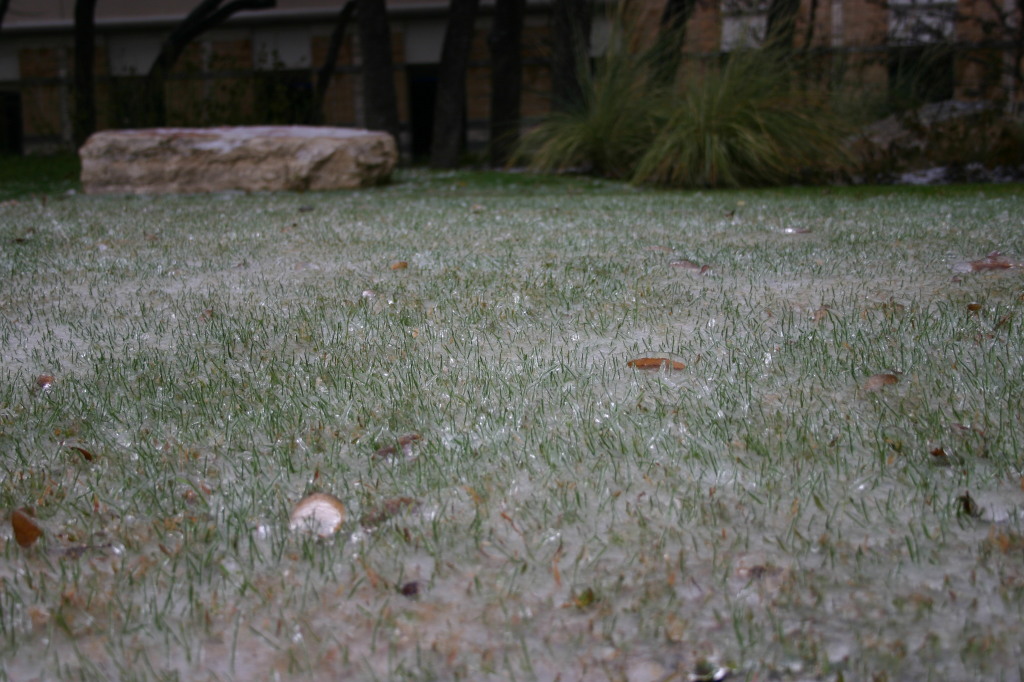 2007/01(January)/Austin-Ice-Storm/1024x768_2007-01-18-Ice-Storm-Austin-46-grass.JPG