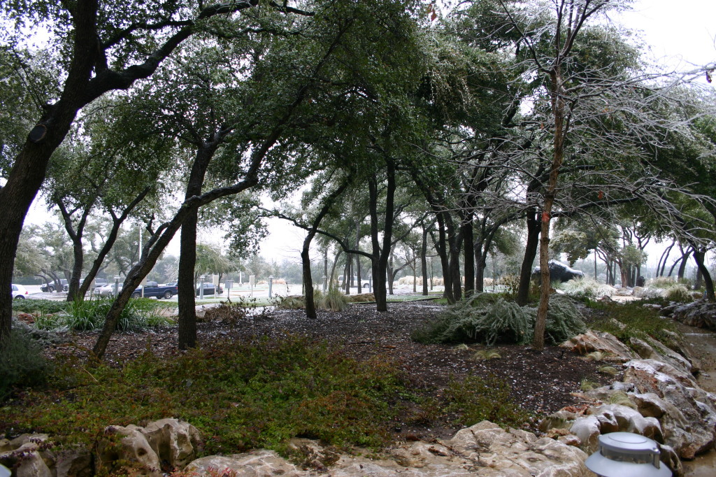 2007-01-18-Ice-Storm-Austin-52.JPG