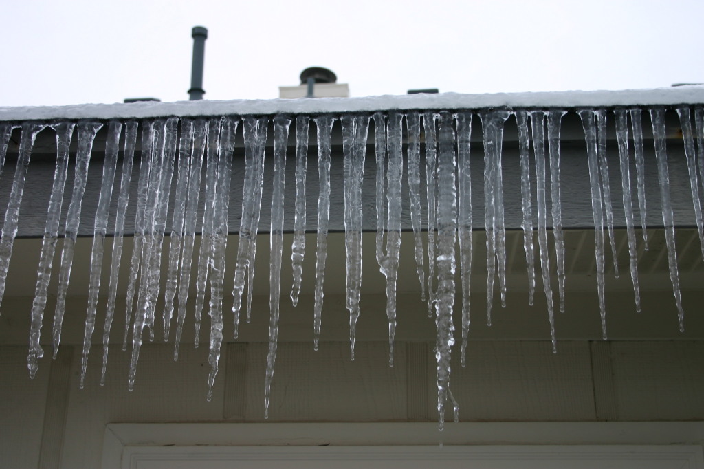 2007-01-18-Ice-Storm-Austin-9.JPG