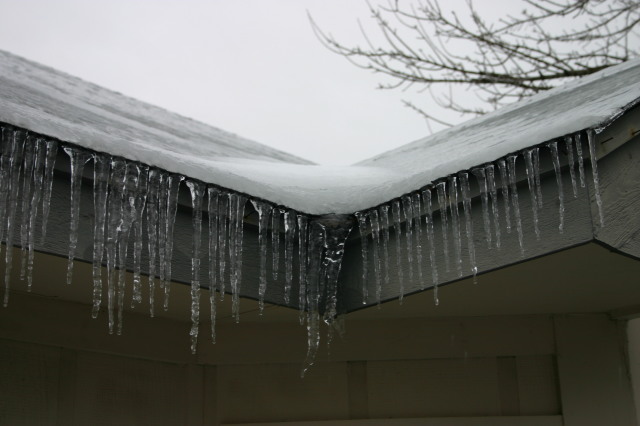 2007-01-18-Ice-Storm-Austin-10.JPG