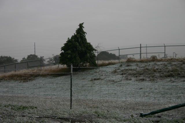 2007/01(January)/Austin-Ice-Storm/640x480_2007-01-18-Ice-Storm-Austin-14.JPG