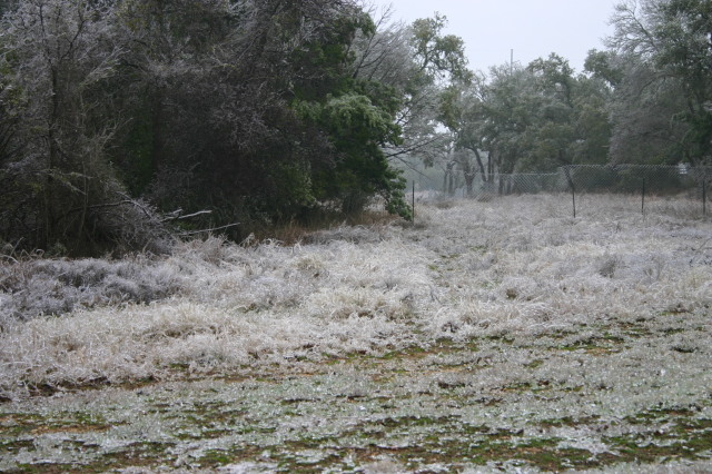 2007/01(January)/Austin-Ice-Storm/640x480_2007-01-18-Ice-Storm-Austin-17.JPG