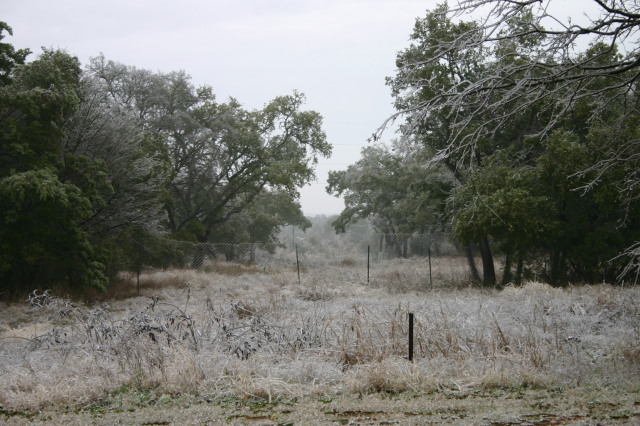 2007/01(January)/Austin-Ice-Storm/640x480_2007-01-18-Ice-Storm-Austin-18.JPG