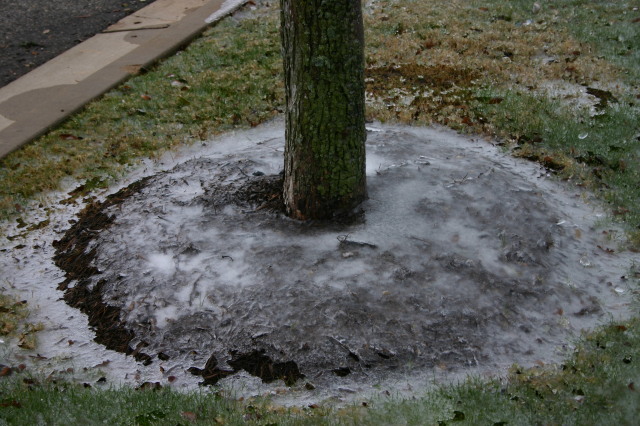 2007/01(January)/Austin-Ice-Storm/640x480_2007-01-18-Ice-Storm-Austin-23.JPG