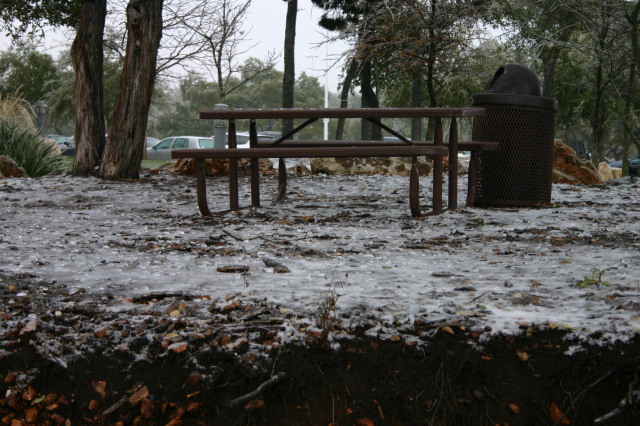 2007/01(January)/Austin-Ice-Storm/640x480_2007-01-18-Ice-Storm-Austin-37.JPG