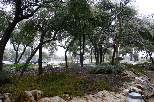 2007/01(January)/Austin-Ice-Storm/640x480_2007-01-18-Ice-Storm-Austin-52.JPG