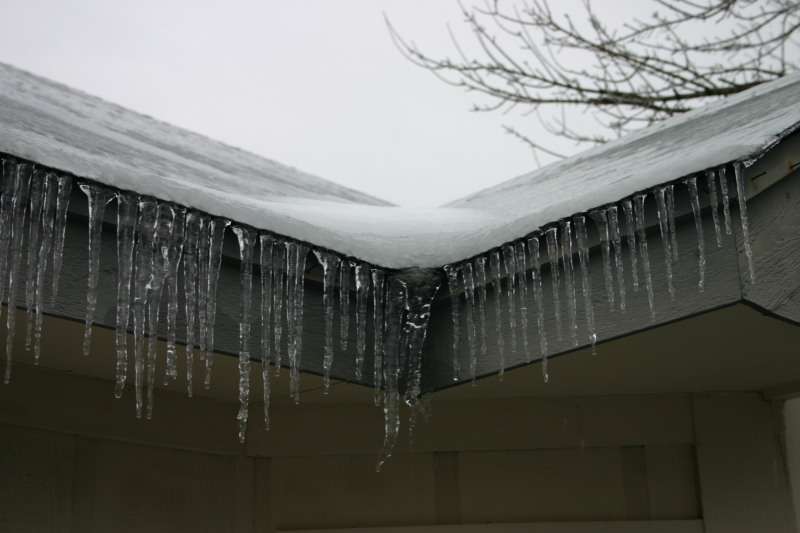 2007-01-18-Ice-Storm-Austin-10.JPG