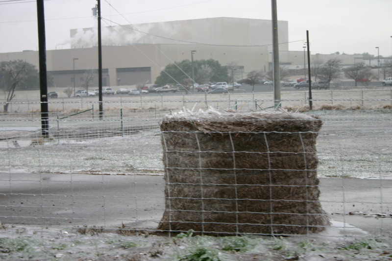 2007/01(January)/Austin-Ice-Storm/800x600_2007-01-18-Ice-Storm-Austin-12.JPG