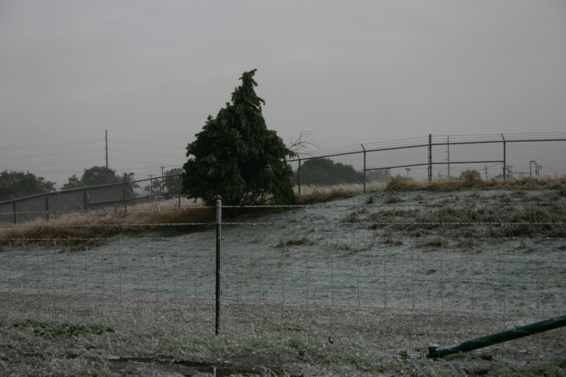 2007/01(January)/Austin-Ice-Storm/800x600_2007-01-18-Ice-Storm-Austin-14.JPG