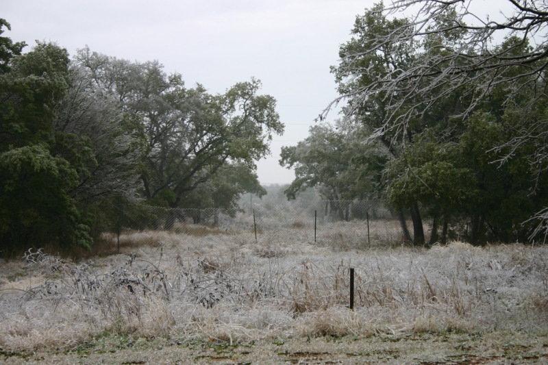 2007/01(January)/Austin-Ice-Storm/800x600_2007-01-18-Ice-Storm-Austin-18.JPG