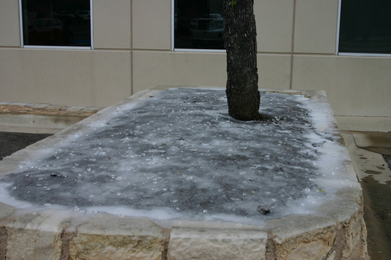2007-01-18-Ice-Storm-Austin-24.JPG