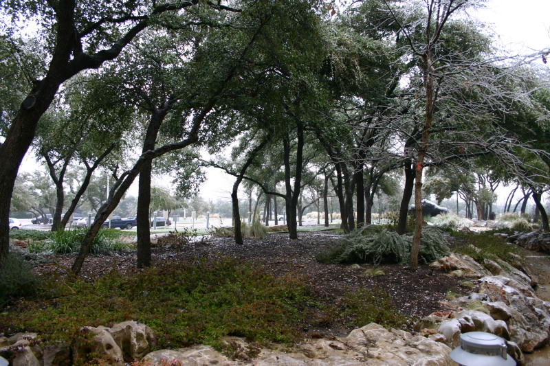 2007/01(January)/Austin-Ice-Storm/800x600_2007-01-18-Ice-Storm-Austin-52.JPG