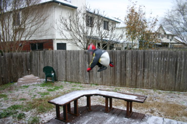 2007-01-15-Ice-Storm-Austin-2-Chance.JPG