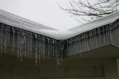 2007-01-18-Ice-Storm-Austin-10.JPG