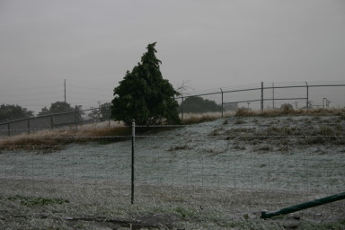2007-01-18-Ice-Storm-Austin-14.JPG