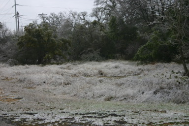 2007-01-18-Ice-Storm-Austin-16.JPG