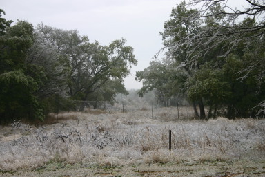 2007-01-18-Ice-Storm-Austin-18.JPG