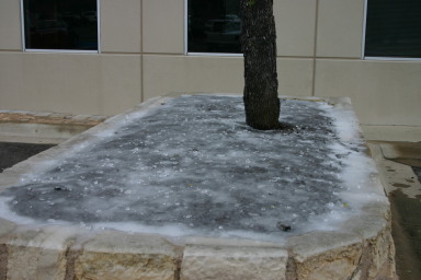 2007-01-18-Ice-Storm-Austin-24.JPG