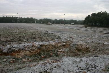 2007-01-18-Ice-Storm-Austin-34.JPG
