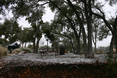 2007-01-18-Ice-Storm-Austin-35.JPG