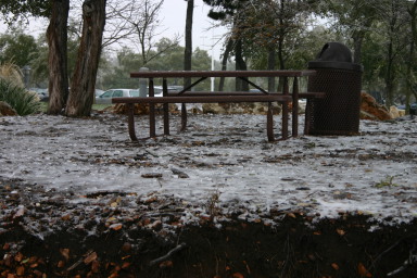 2007-01-18-Ice-Storm-Austin-37.JPG