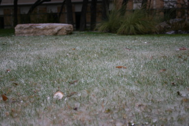 2007-01-18-Ice-Storm-Austin-46-grass.JPG