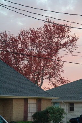 2007-02-15-Sunset-3.JPG