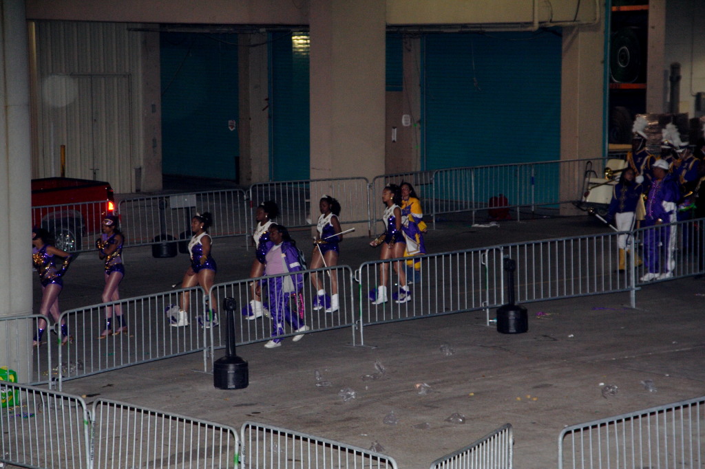 2007-02-17-Endymion-Parade-067-superdome.JPG