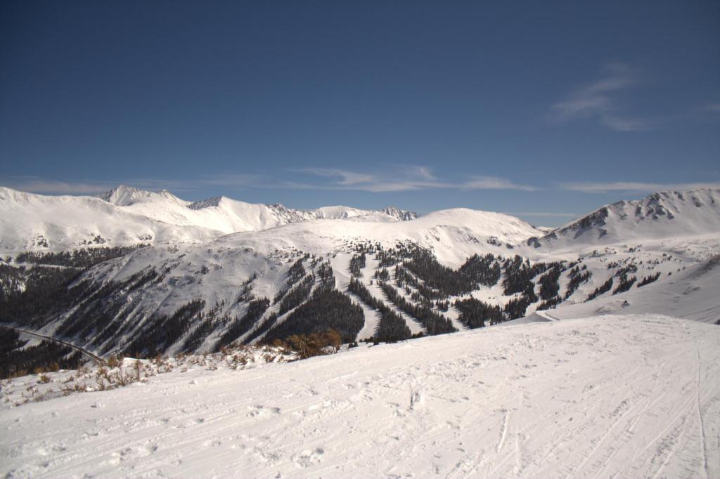 img_10087.jpg